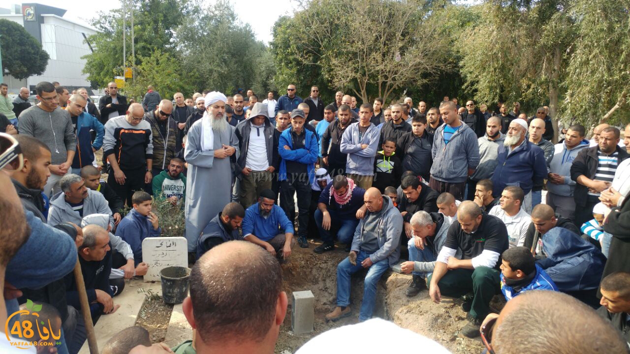 tashye3 abo kashef (12).jpg